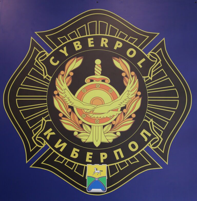 Киберпол против интернет-преступлений