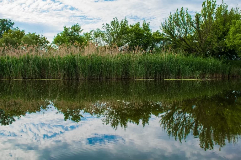 «Казводнадхоз» о проделанной работе и паводковой ситуации в ЗКО